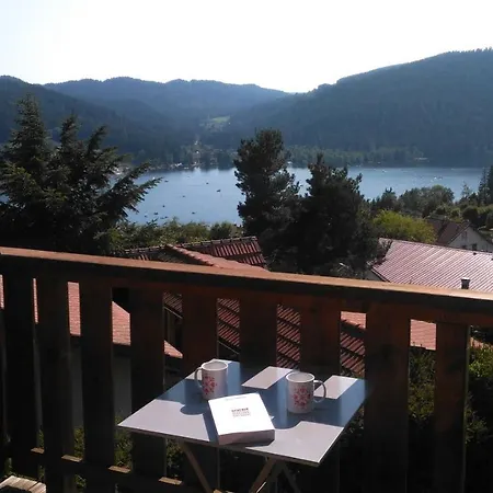 Esprit Myrtille Balcon Vue Lac Gerardmer Exterior photo